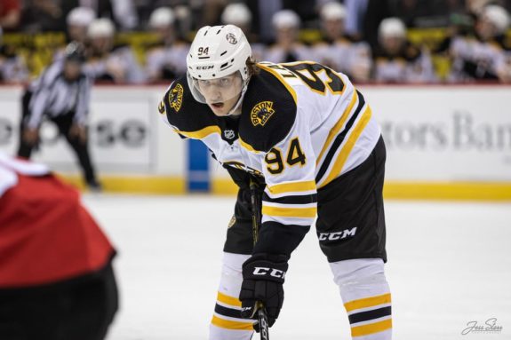 Jakub Lauko Boston Bruins