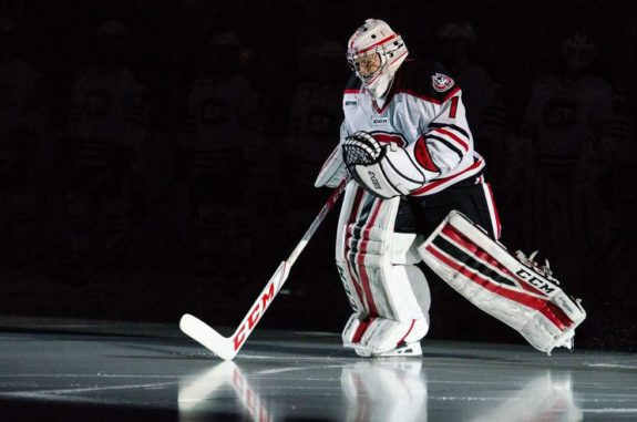 Janine Alder SCSU Huskies