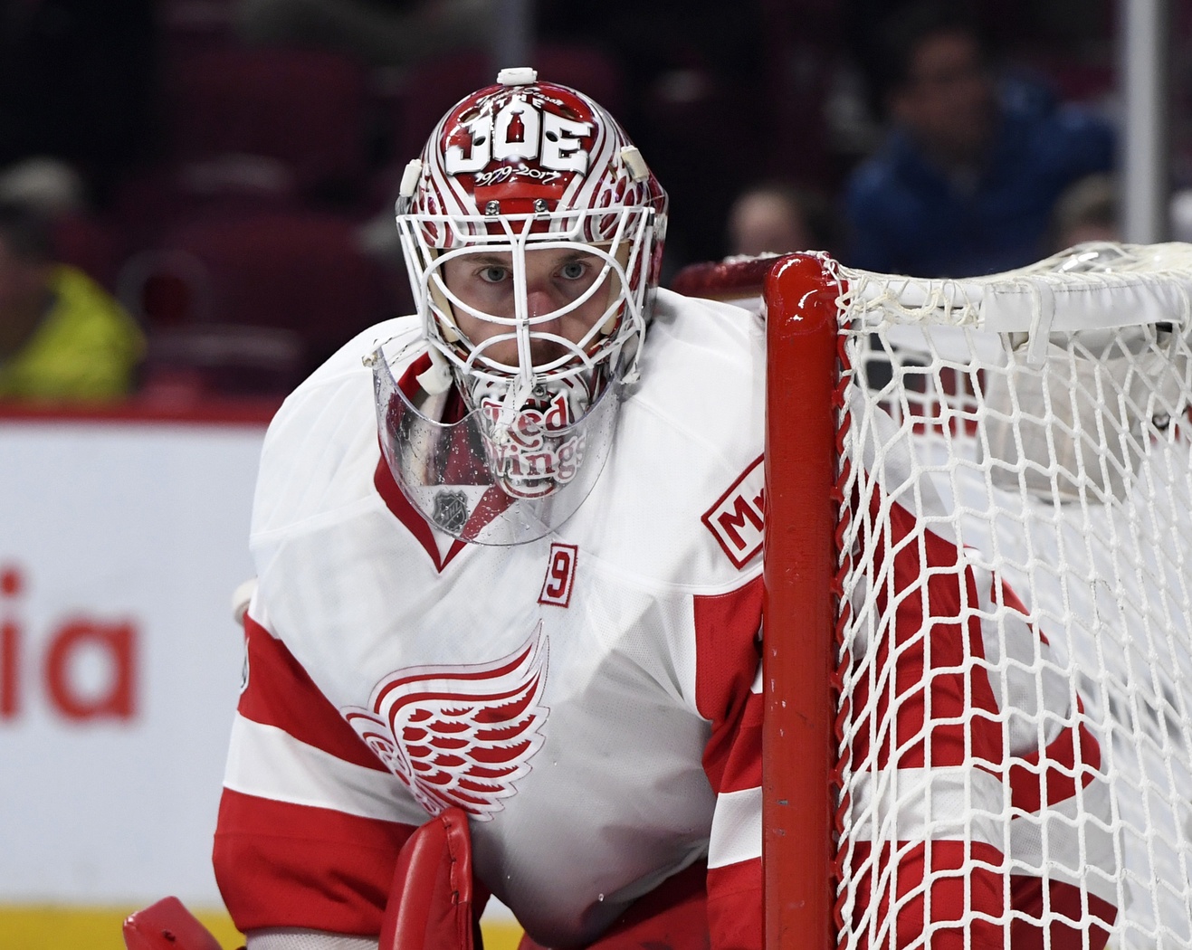Getting to Know: Red Wings goalie Jimmy Howard - The Hockey News