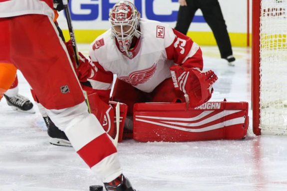 Jimmy Howard of the Detroit Red Wings.