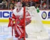 Should the Red Wings Trade Howard?