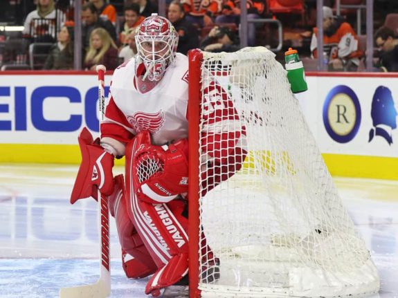 Jimmy Howard of the Detroit Red Wings