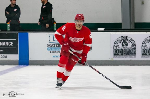 Joe Veleno, Detroit Red Wings