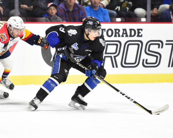 Joe Veleno Saint John Sea Dogs