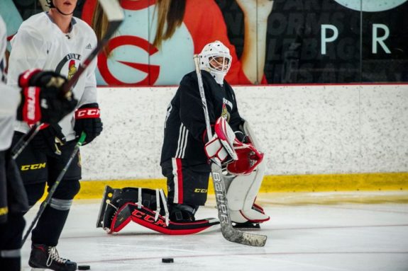 Joey Daccord Ottawa Senators