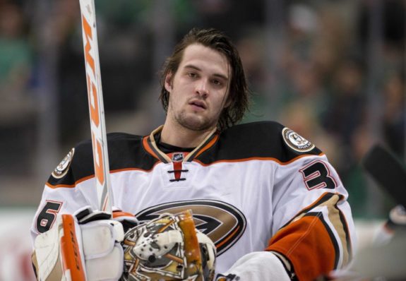 John Gibson Ducks