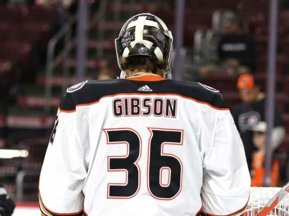 John Gibson Ducks