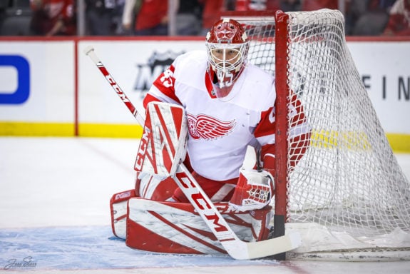 Jonathan Bernier of the Detroit Red Wings