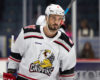 AHL Central News: Griffins Gain Ground with Hot Week