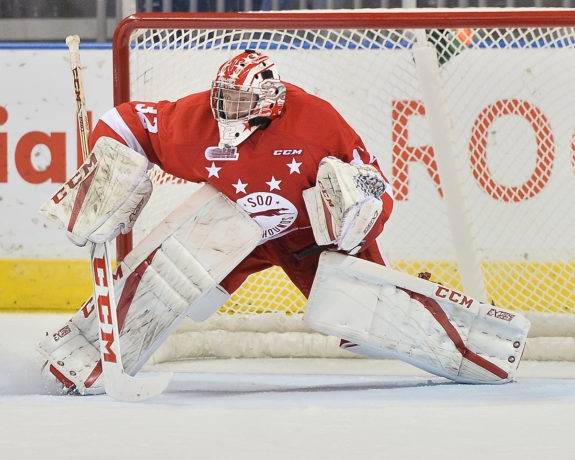 Joseph Raaymakers, Sault Ste. Marie Greyhounds, London Knights, OHL