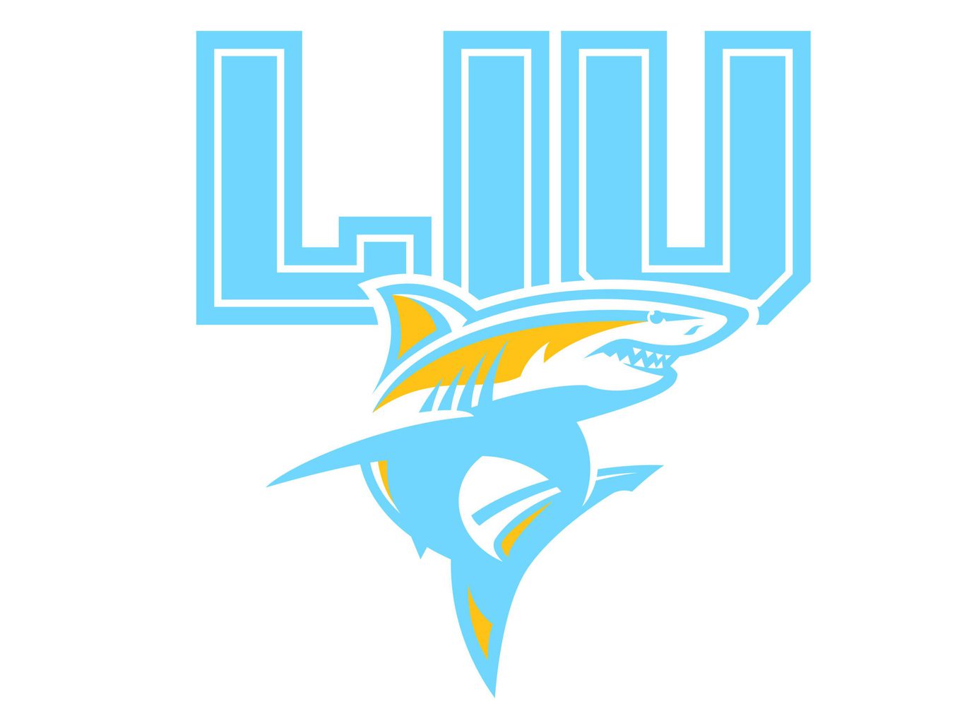 Long Island University Men's Hockey: Can They Pull It Off? - The Hockey ...