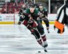 Coyotes Weekly: Getting Hot at the Right Time