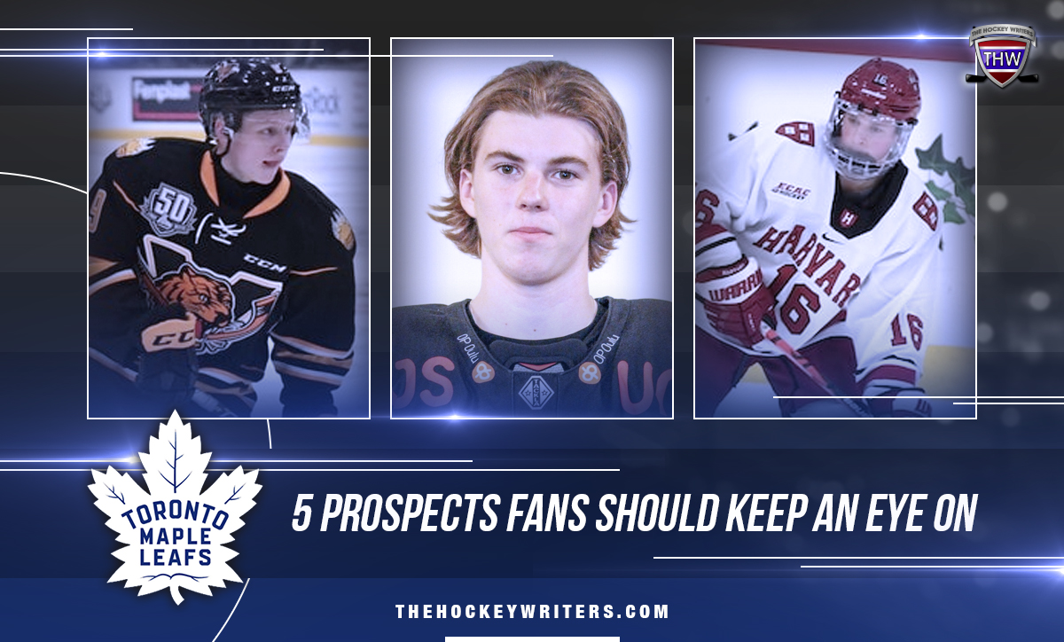 Toronto 5 Maple Leafs Prospects Fans Should Keep An Eye On Mikhail Abramov, Topi Niemela and Nick Abruzzese