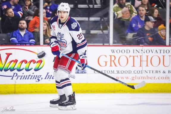 Libor Hajek Hartford Wolf Pack