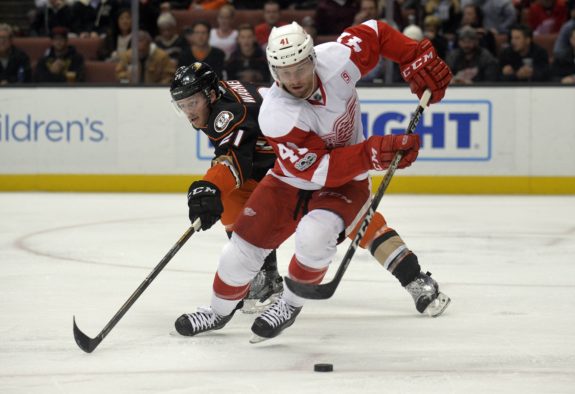 Luke Glendening of the Detroit Red Wings.