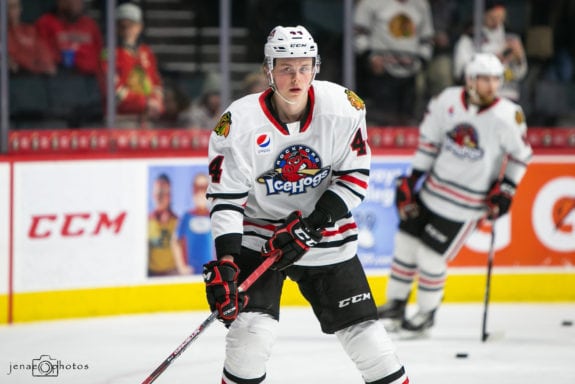 MacKenzie Entwistle Rockford IceHogs