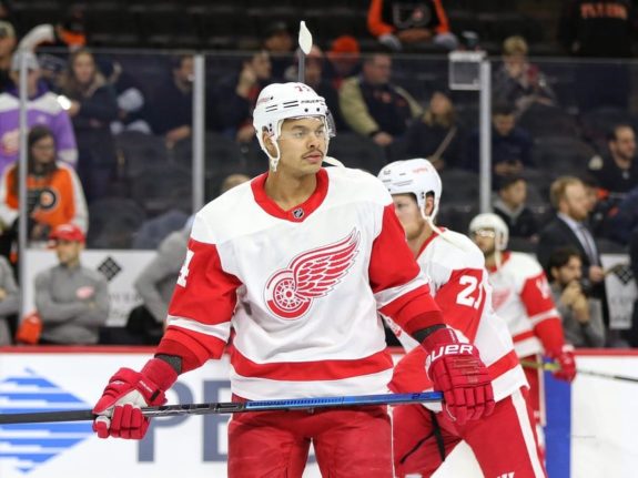 Madison Bowey Detroit Red Wings