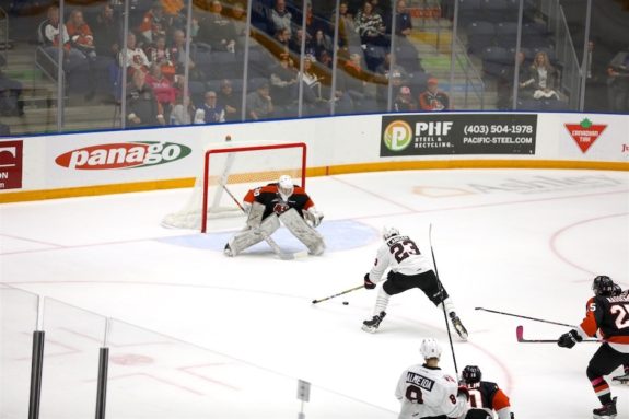 Mads Sogaard Medicine Hat Tigers