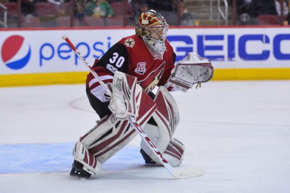 Marek Langhamer Coyotes