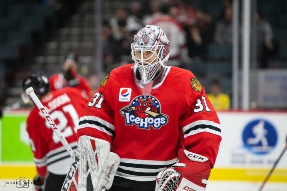 Matt Tomkins, Rockford IceHogs