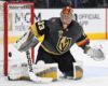 Chicago Wolves 2018-19 Season Preview
