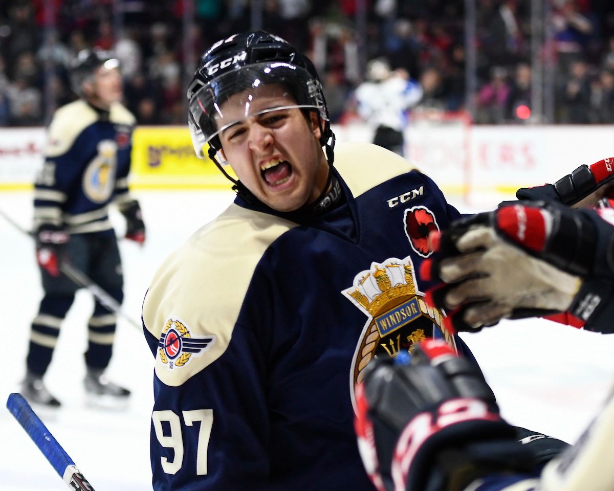 Spitfires Edge Sea Dogs in Memorial Cup Opener The Hockey Writers