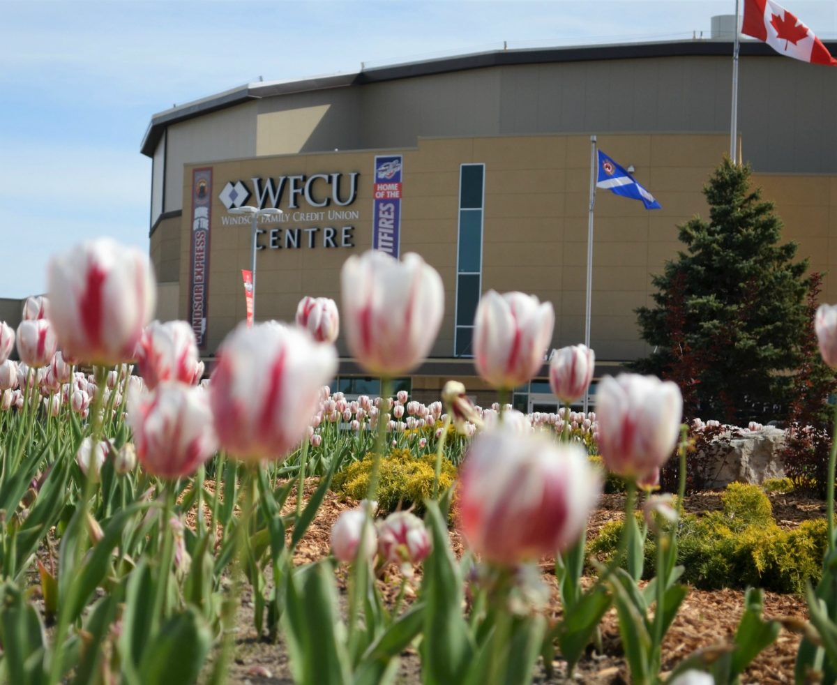 WFCU Centre, Windsor, ON