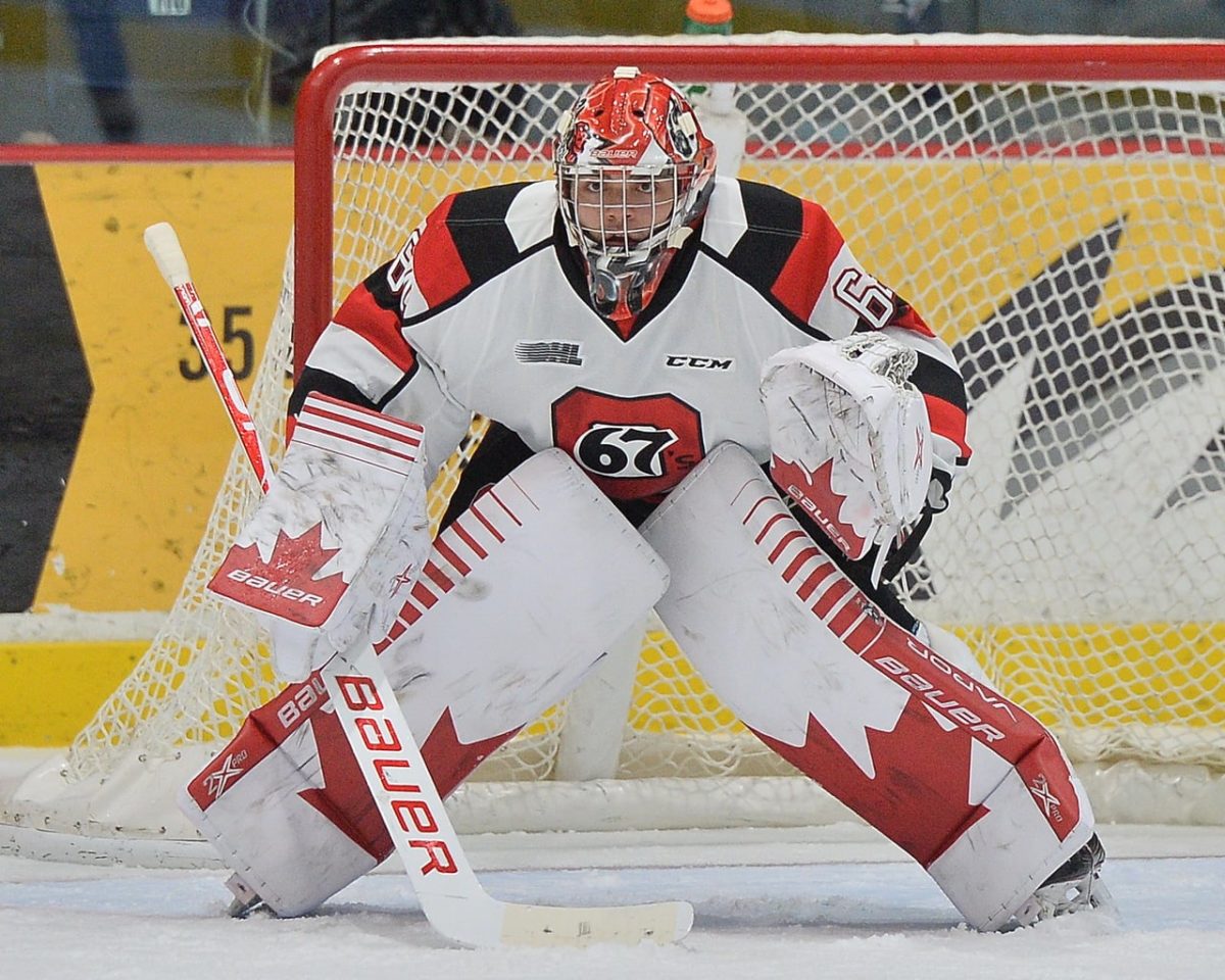 Michael DiPietro Ottawa 67's