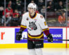 AHL Central News: Wolves Claw Their Way Past Wild