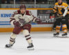 Maple Leafs' 2019 Draft Class Update