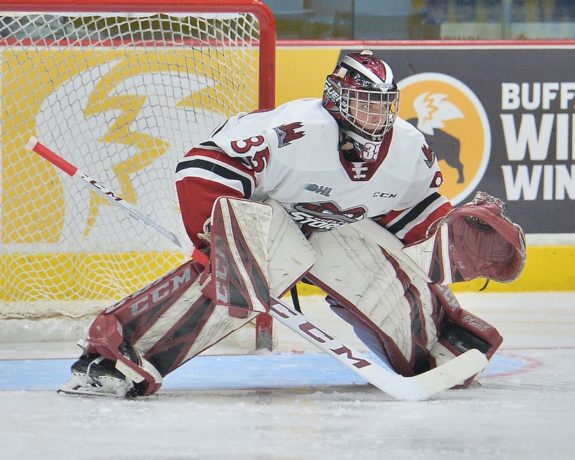 Nico Daws Guelph Storm