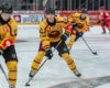 Red Wings: Second-Round Options