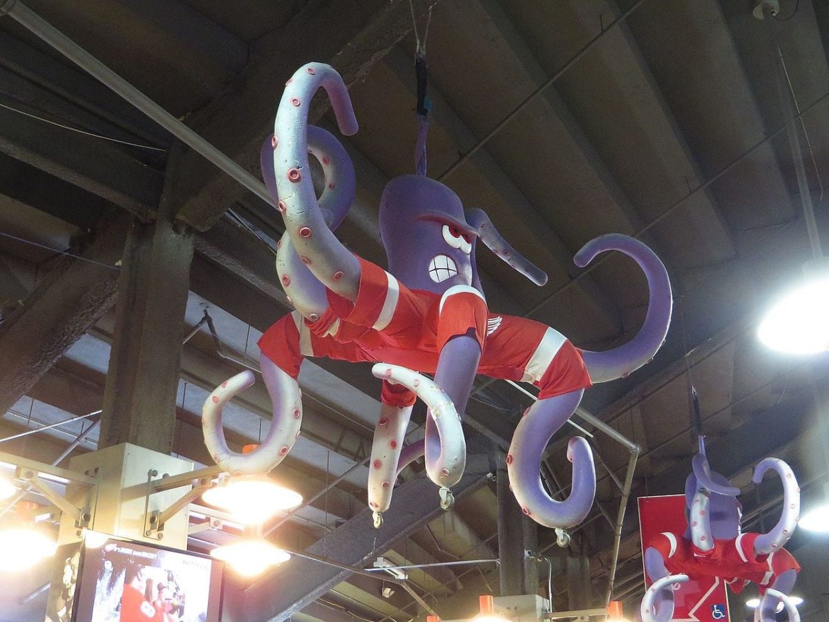Octopus Detroit Red Wings