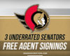 Senators' 3 Most Underrated Free-Agent Signings