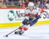 Is Owen Tippett NHL Ready?