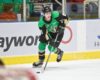 Prospects News & Rumors: Neighbours, Weisblatt, Spence & More