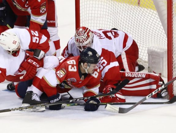 Jimmy Howard of the Detroit Red Wings.