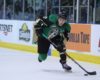 Senators' Prospect Report: The Postseason