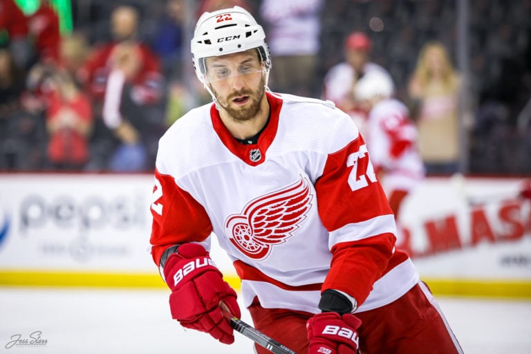 Detroit Red Wings: Filip Hronek's Defense Partner