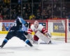 AHL Central News: The Stretch Run Begins