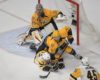 Predators: What's Wrong with the Defense?