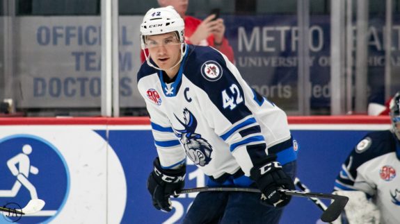Peter Stoykewych Manitoba Moose