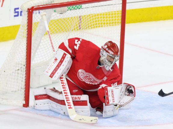 Detroit Red Wings goaltender Petr Mrazek.