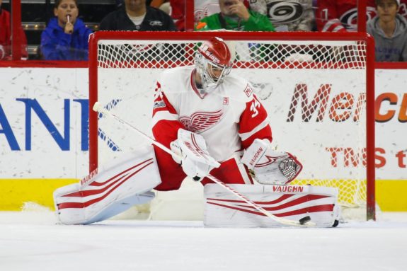 Goaltender Petr Mrazek of the Detroit Red Wings.