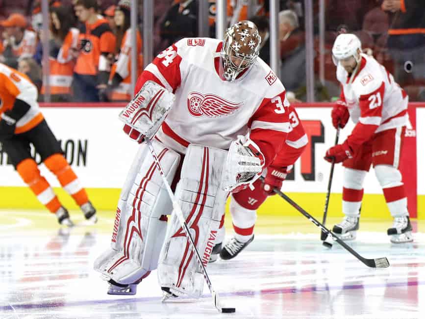 Petr Mrazek - Detroit Red Wings - 2016 NHL Stadium Series - Game-Worn  Jersey - Worn in First Period - NHL Auctions