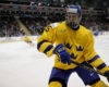 Philip Broberg - 2019 NHL Draft Prospect Profile