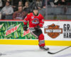 Prospects News & Rumors: Blackhawks, Greig, McClennon & Guhle