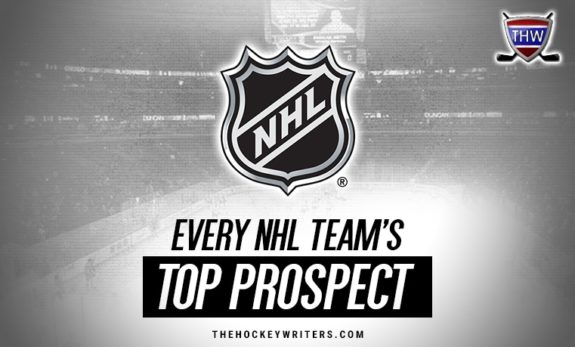 Every NHL Team's Top Prospect 2019-20