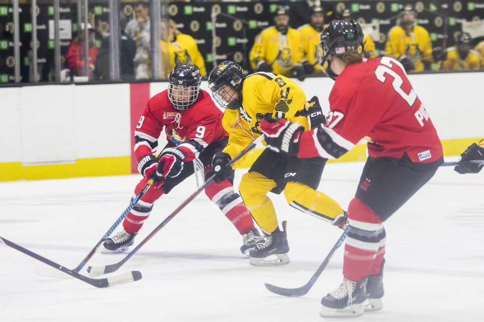 NWHL: Connecticut Whale, Metropolitan Riveters Continue to Add Depth