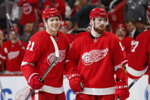 Detroit Red Wings Dennis Cholowski Filip Hronek